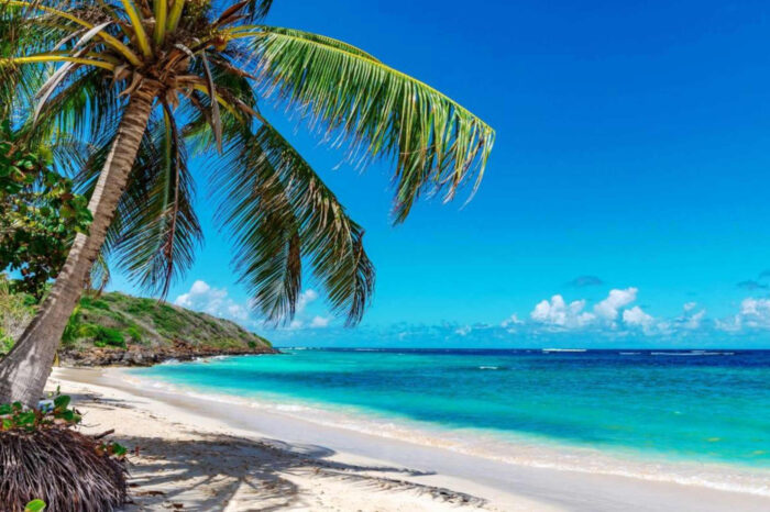 Carnavibe no Caribe 2026