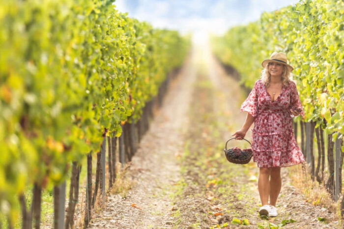 Vinhos & Arte na Toscana 2026